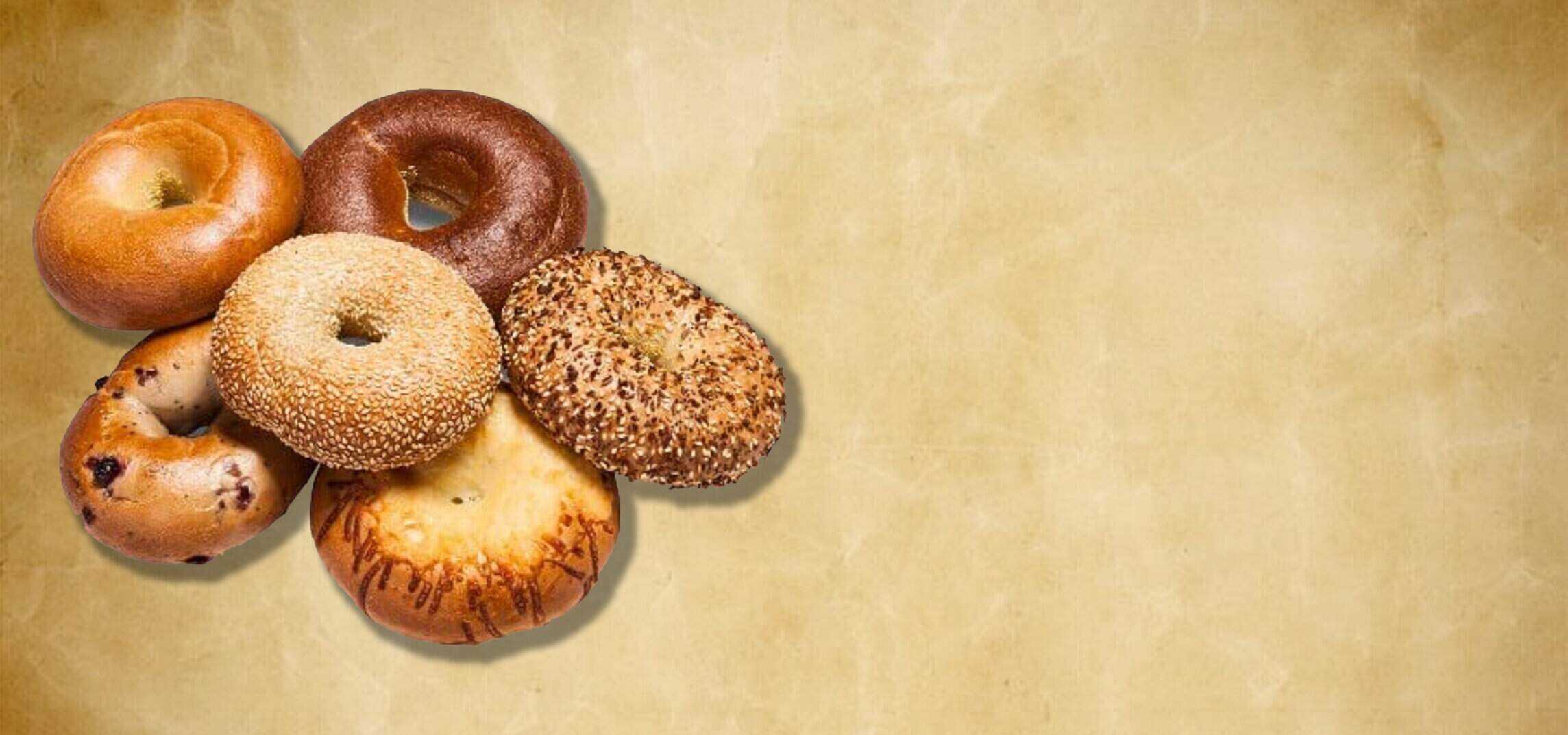 Bagels Survey