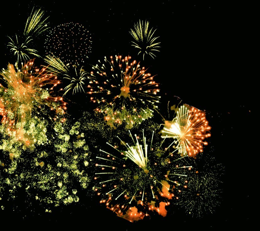 Fireworks Survey