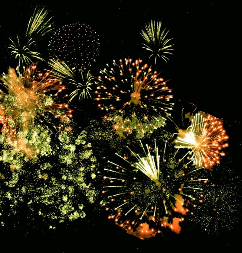 Fireworks Survey