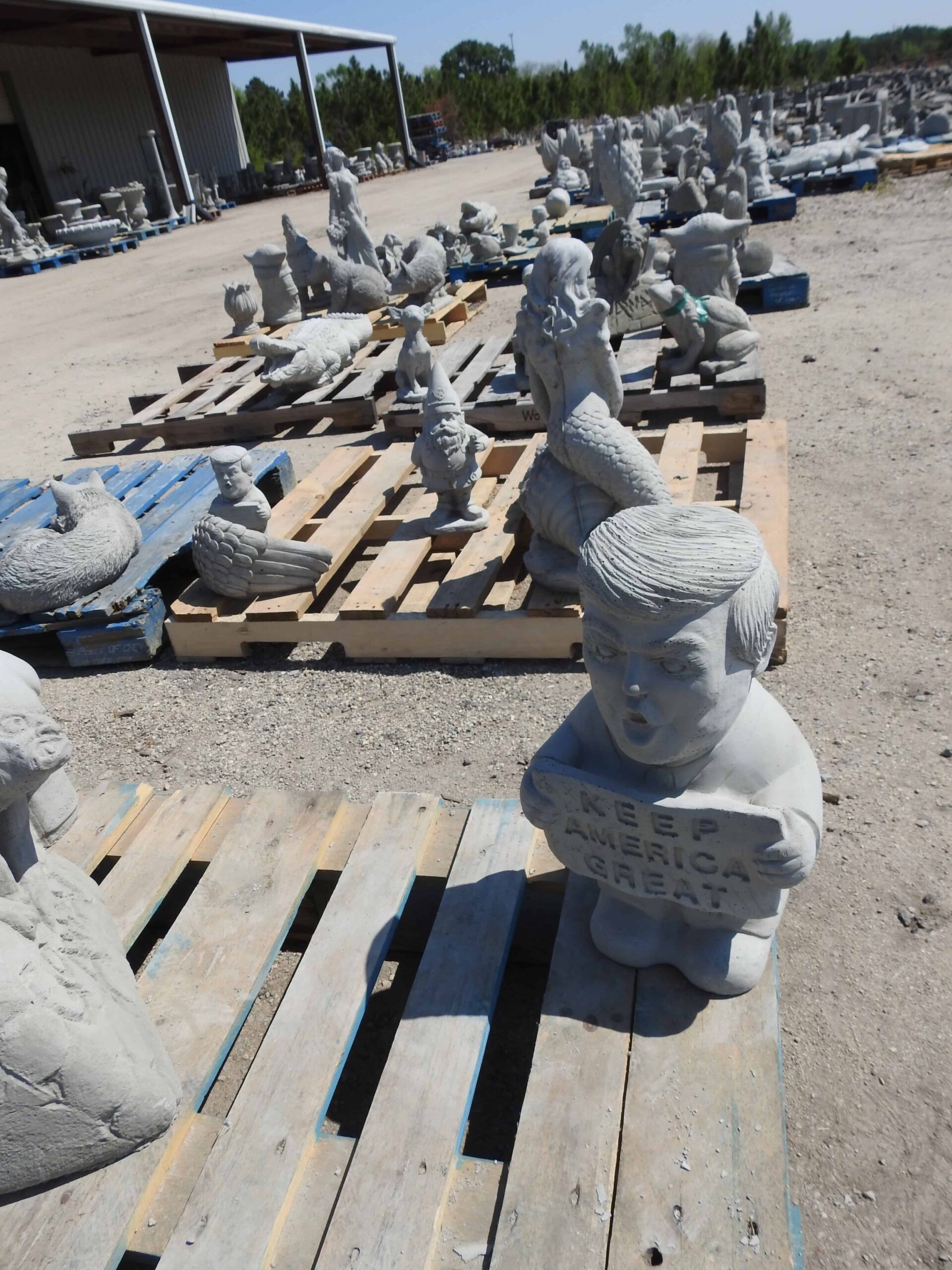 Lions and Tigers and Bears, Oh My! Bethune, SC Route 1 Views