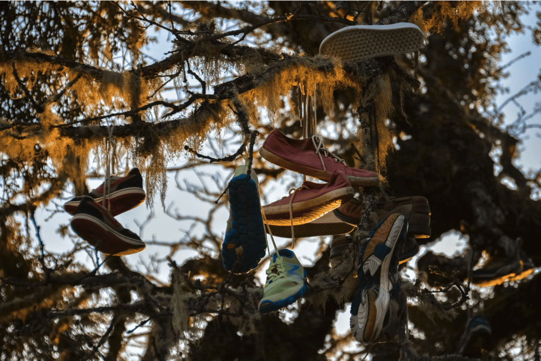 The Shoe Tree