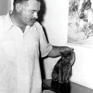 Hemingway “Cats in Key West”
