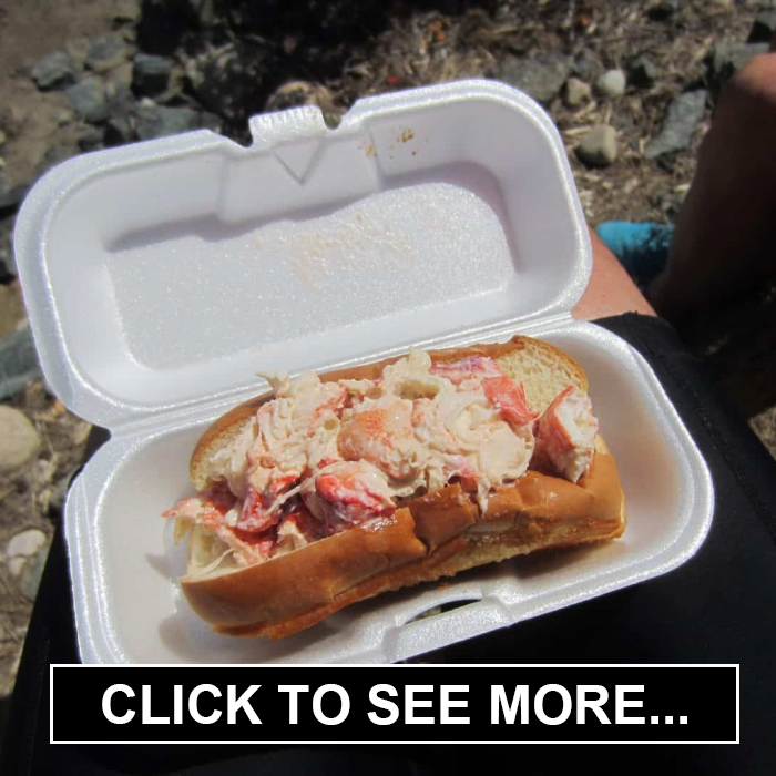 Lobster Roll Quest for the Best!!! Maine, Massachusetts, and Rhode