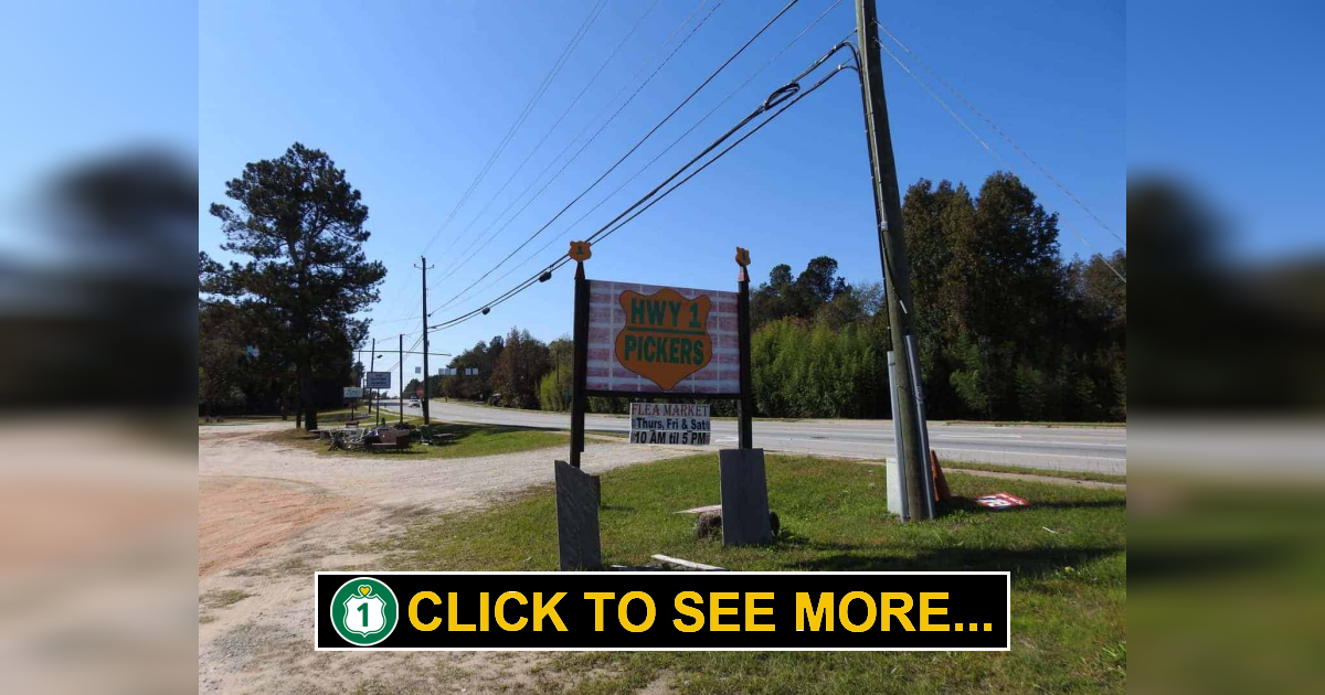 Wrens Row Antiques Wrens, SC Route 1 Views