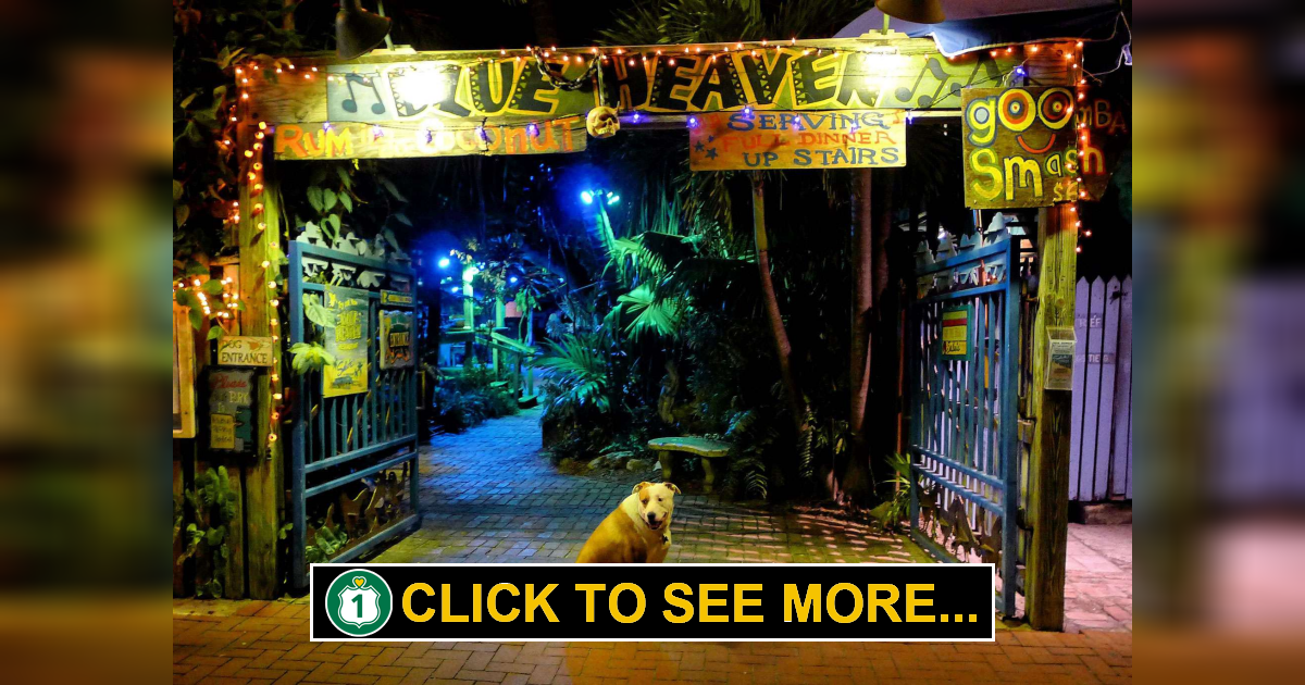 Blue Heaven Key West Florida Route 1 Views