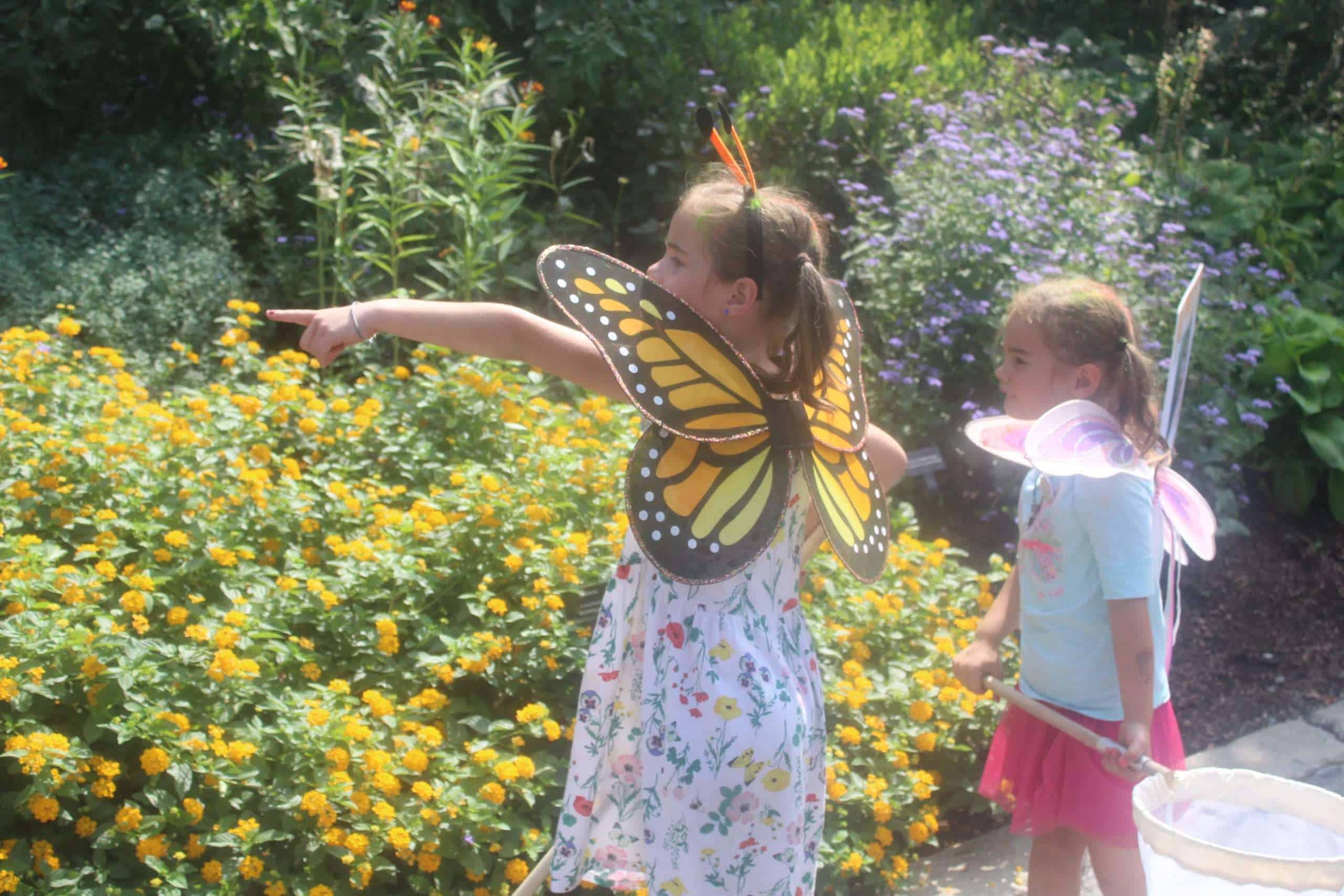 Butterfly World Coconut Creek Florida Route 1 Views