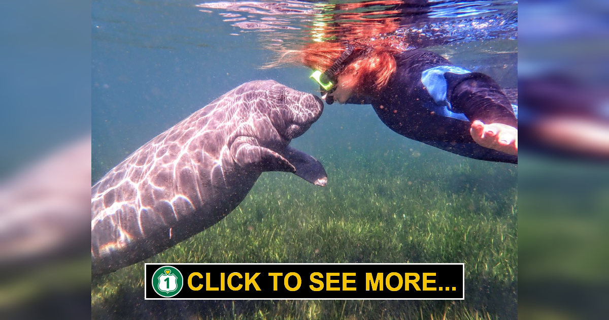 Peanut Island. Riviera Beach, Florida Route 1 Views