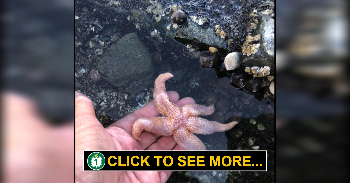 Tidal Falls Preserve Route 1 Views