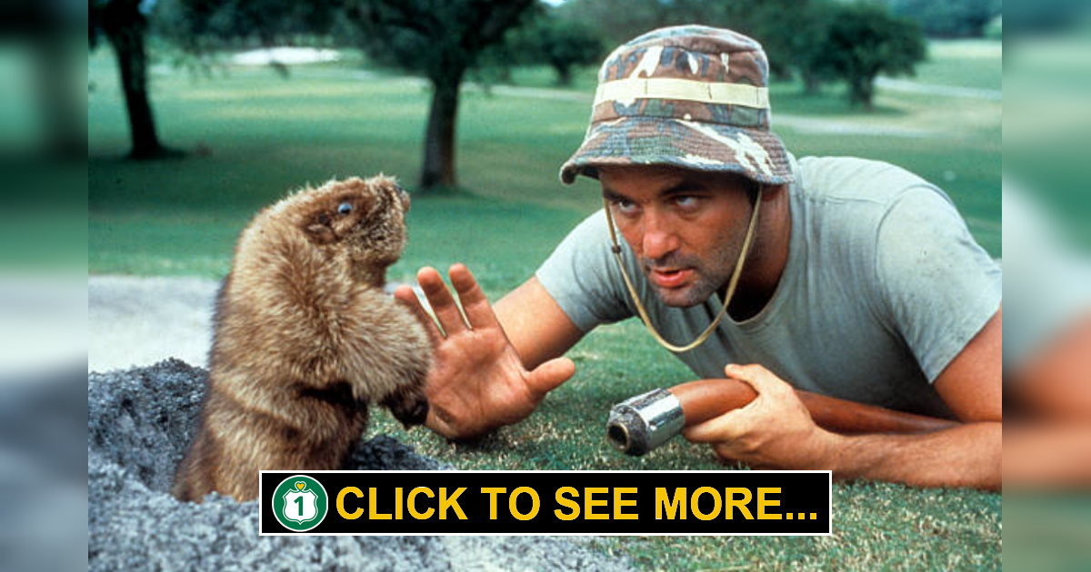 Shooting Caddyshack in Florida Route 1 Views