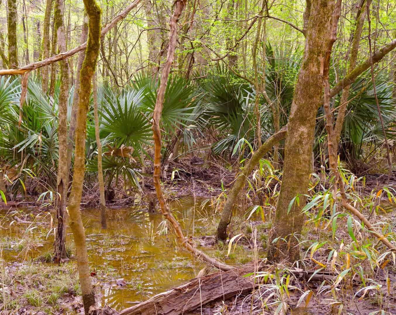 South Carolina