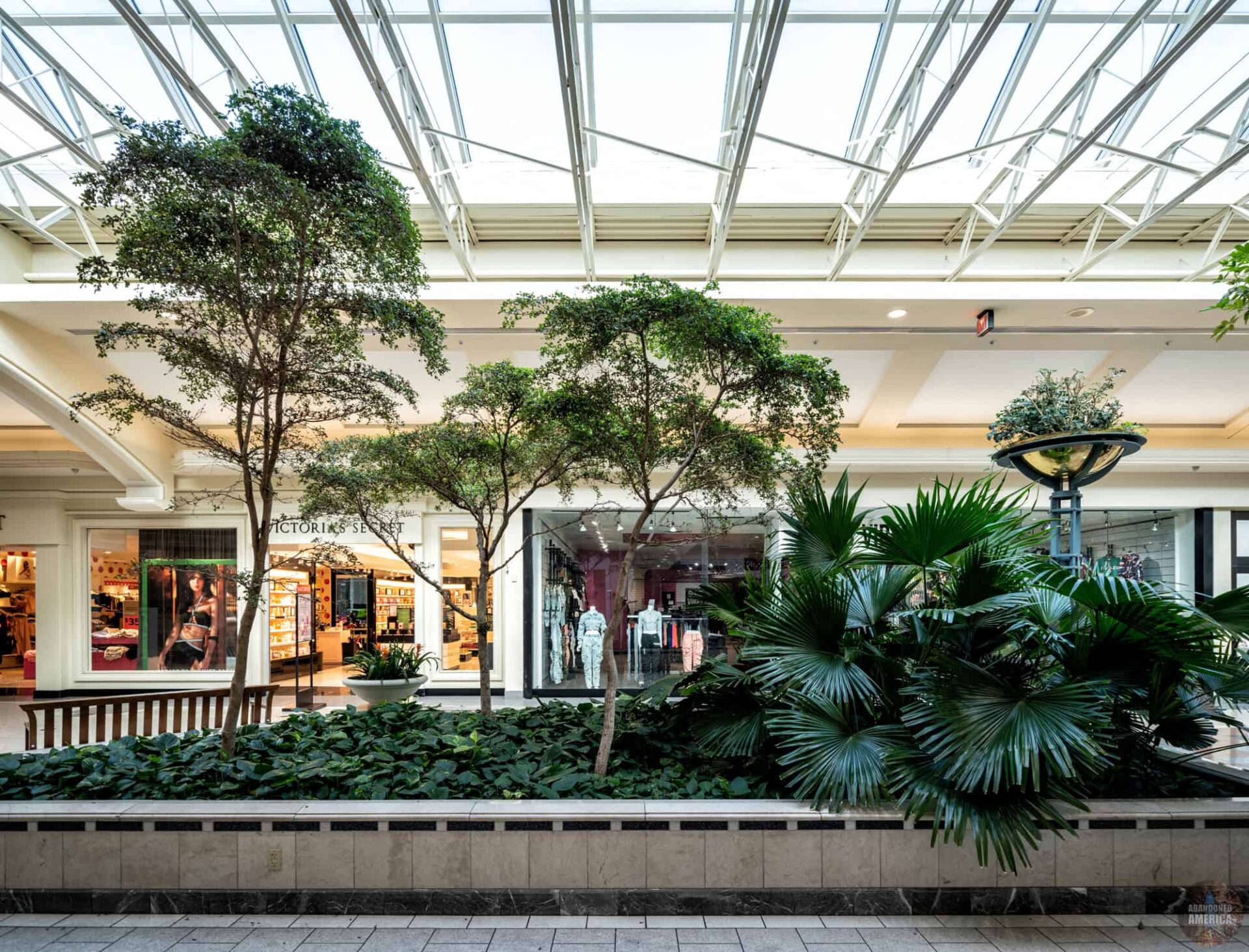 Whoever maintains the plants at the Concord Mall should get a raise. They're doing a great job.