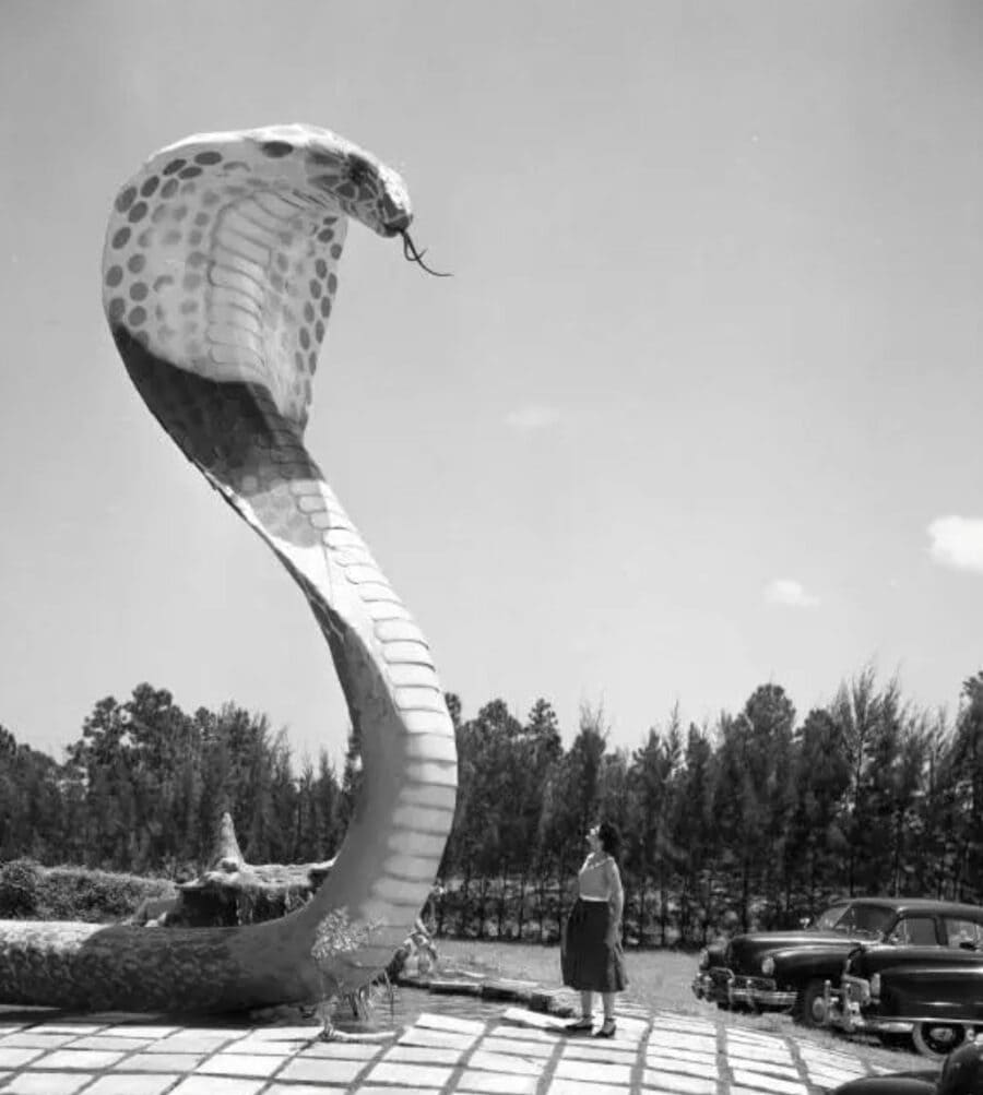 Bill Haast's Miami Serpentarium: The Florida Attraction of a Bygone Era ...