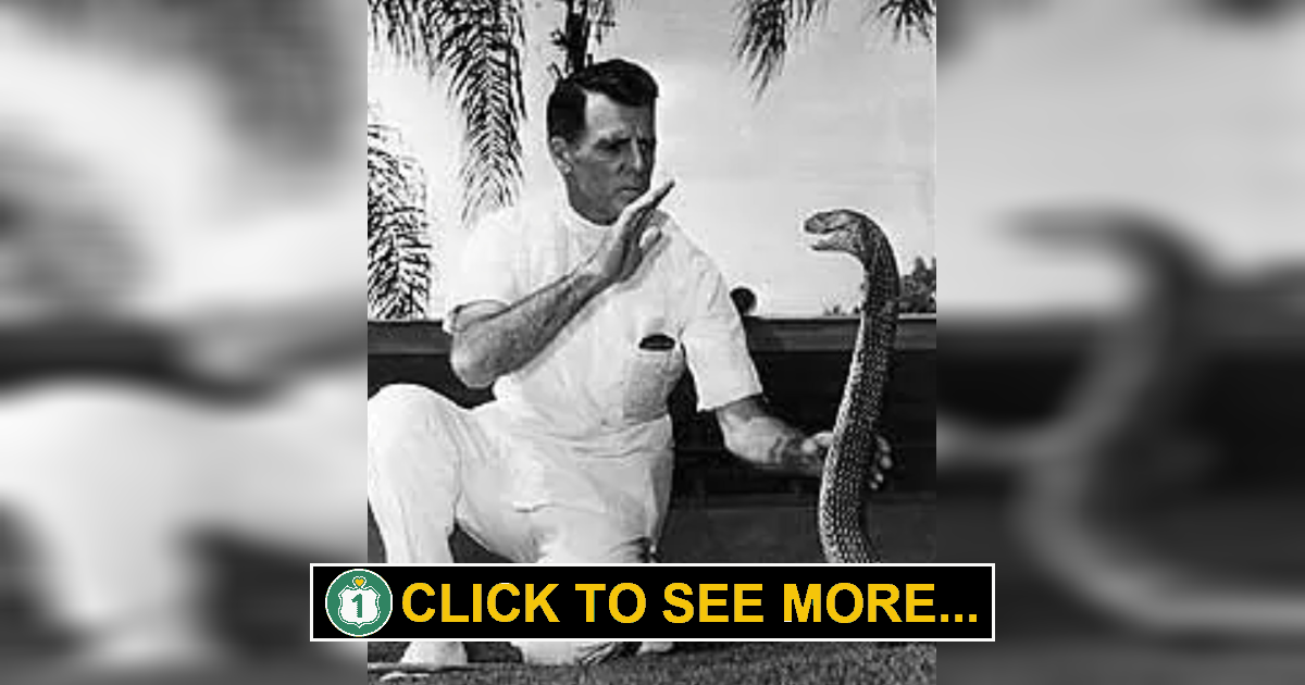 Bill Haast's Miami Serpentarium: The Florida Attraction of a Bygone Era ...