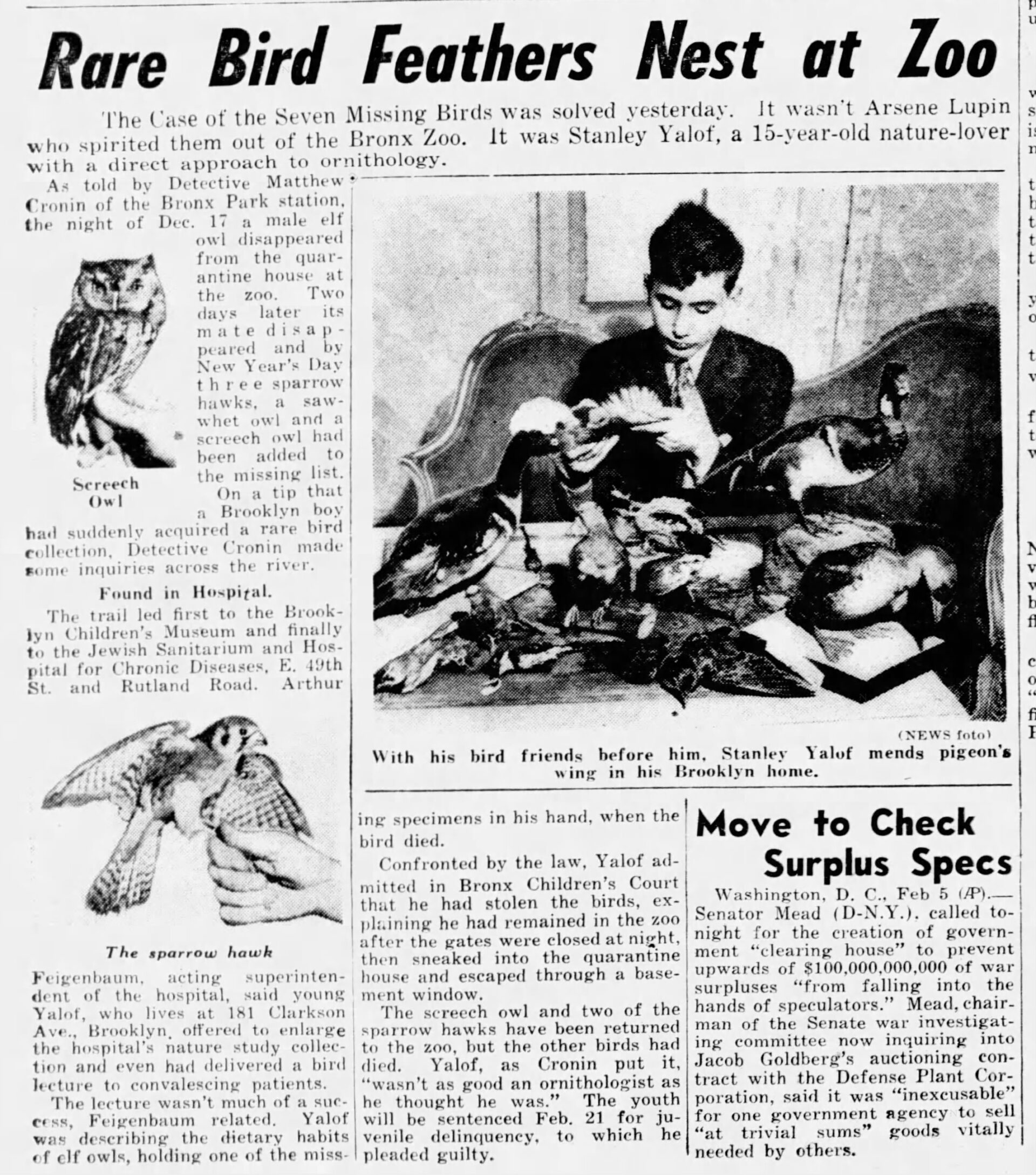 1945 New York Sun article clipping