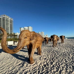 Elephant Herd Off Route 1 – Miami Beach