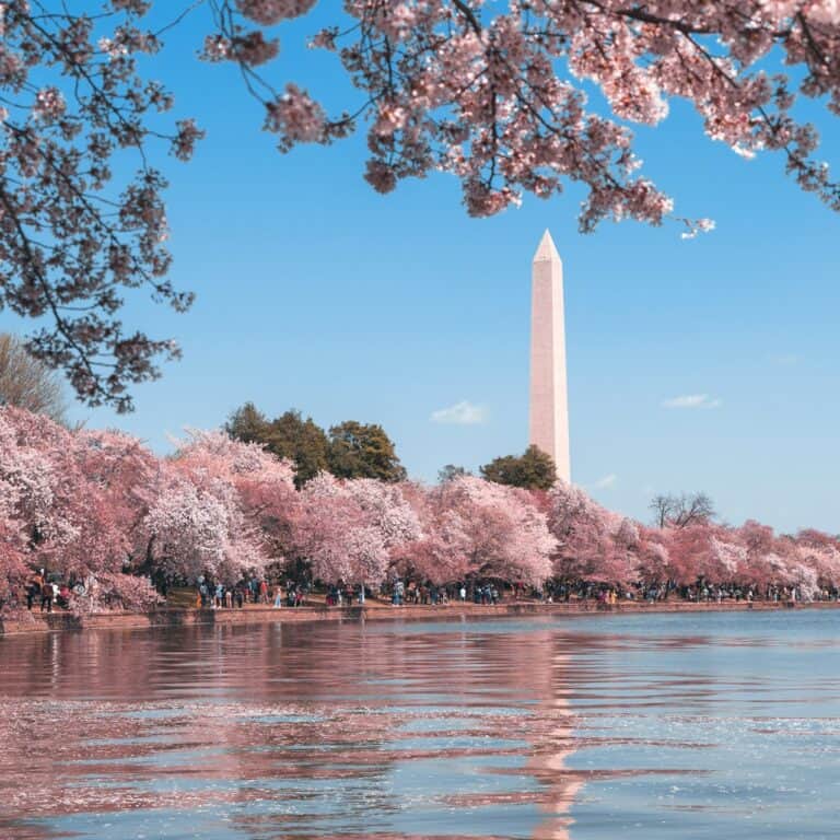 Route 1 Doesn't Pass the White House. Here's Where It Goes.