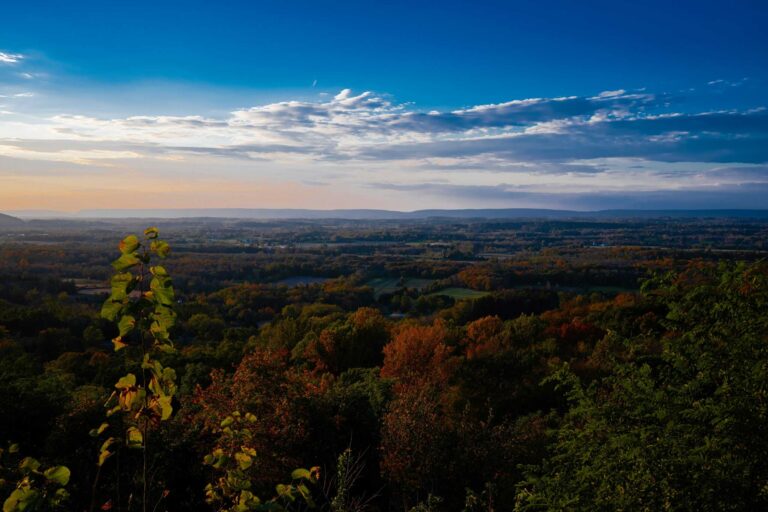 Christmas Night, 2,400 Soldiers, and a River: Route 1 Pennsylvania