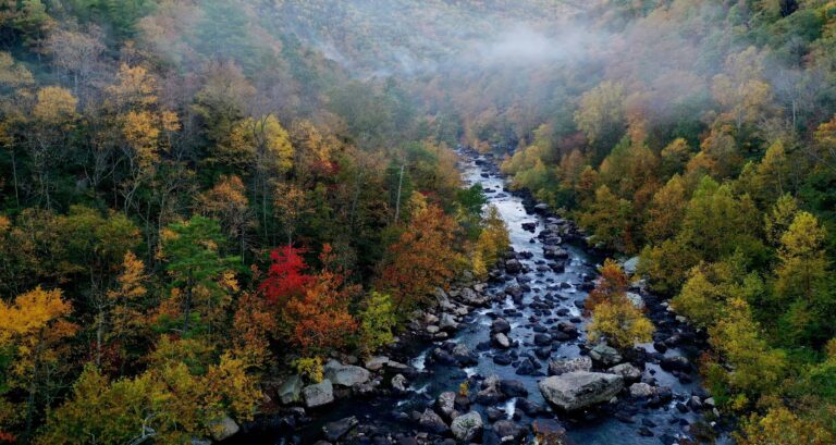 The Road That Ran Through the Confederacy: Route 1 Virginia