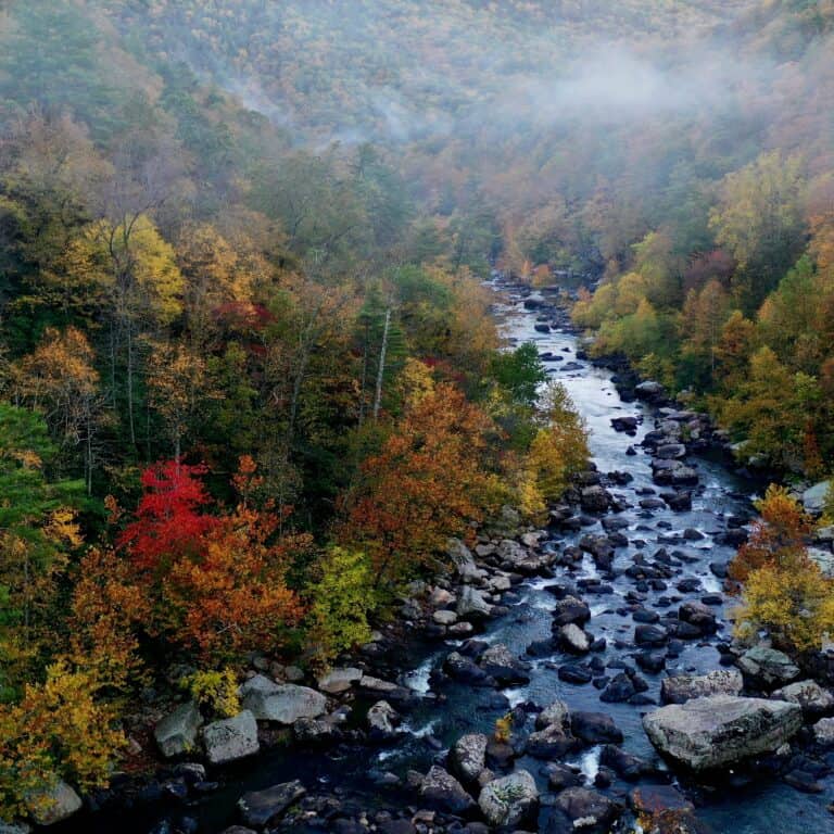 The Road That Ran Through the Confederacy: Route 1 Virginia