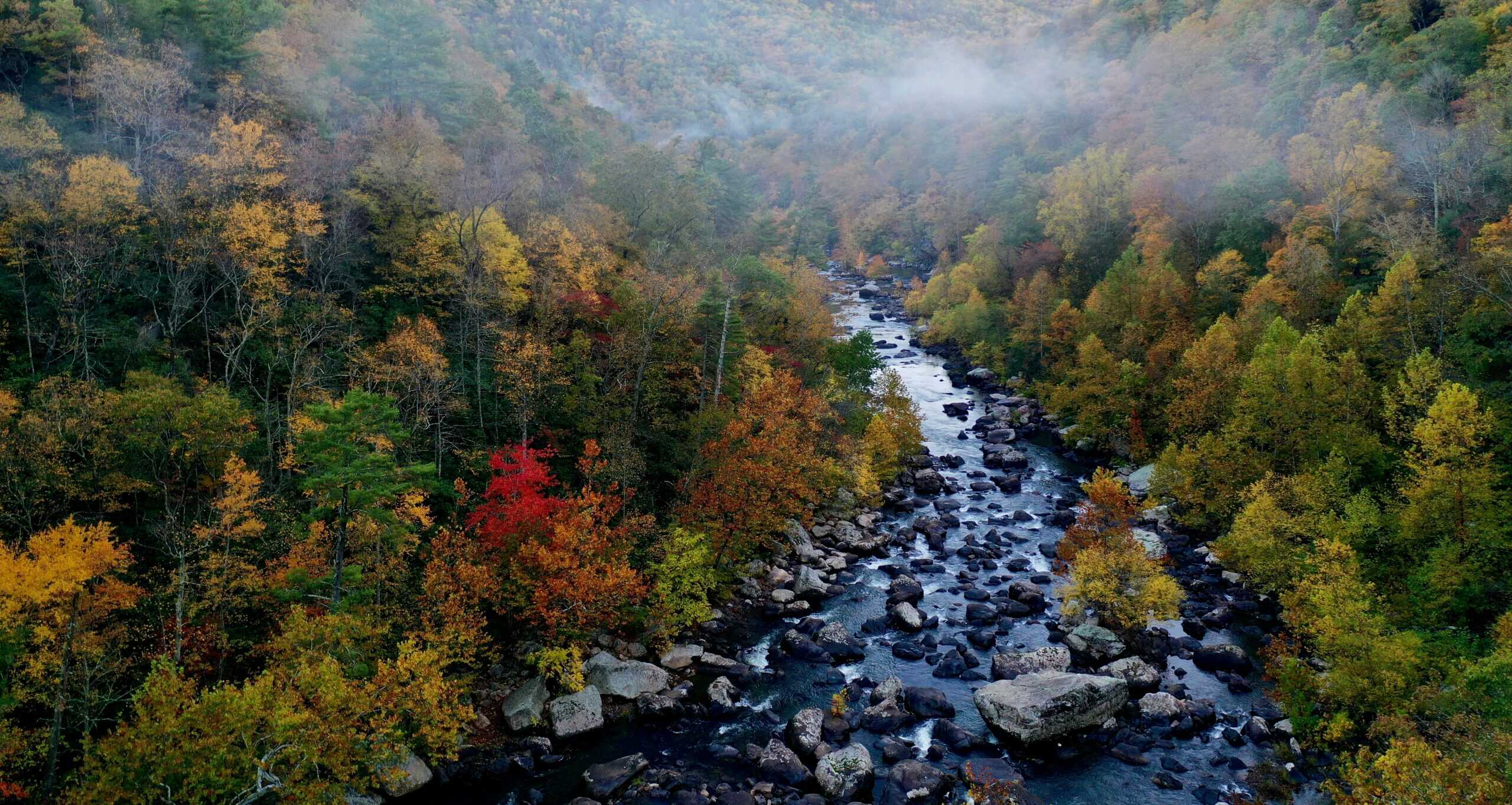 The Road That Ran Through the Confederacy: Route 1 Virginia