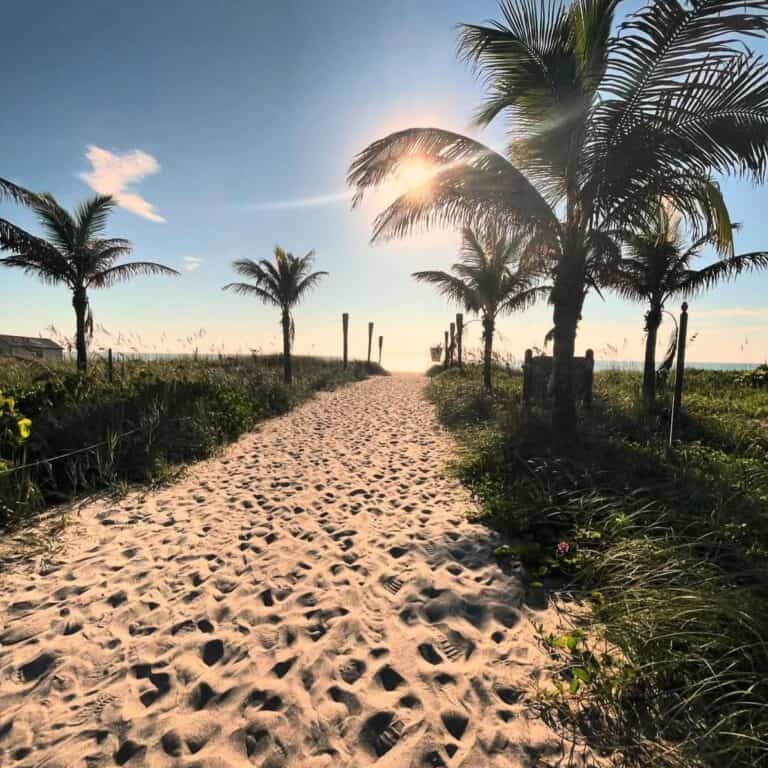 Rocket Launch Thrills from Coconuts on the Beach, Cocoa
