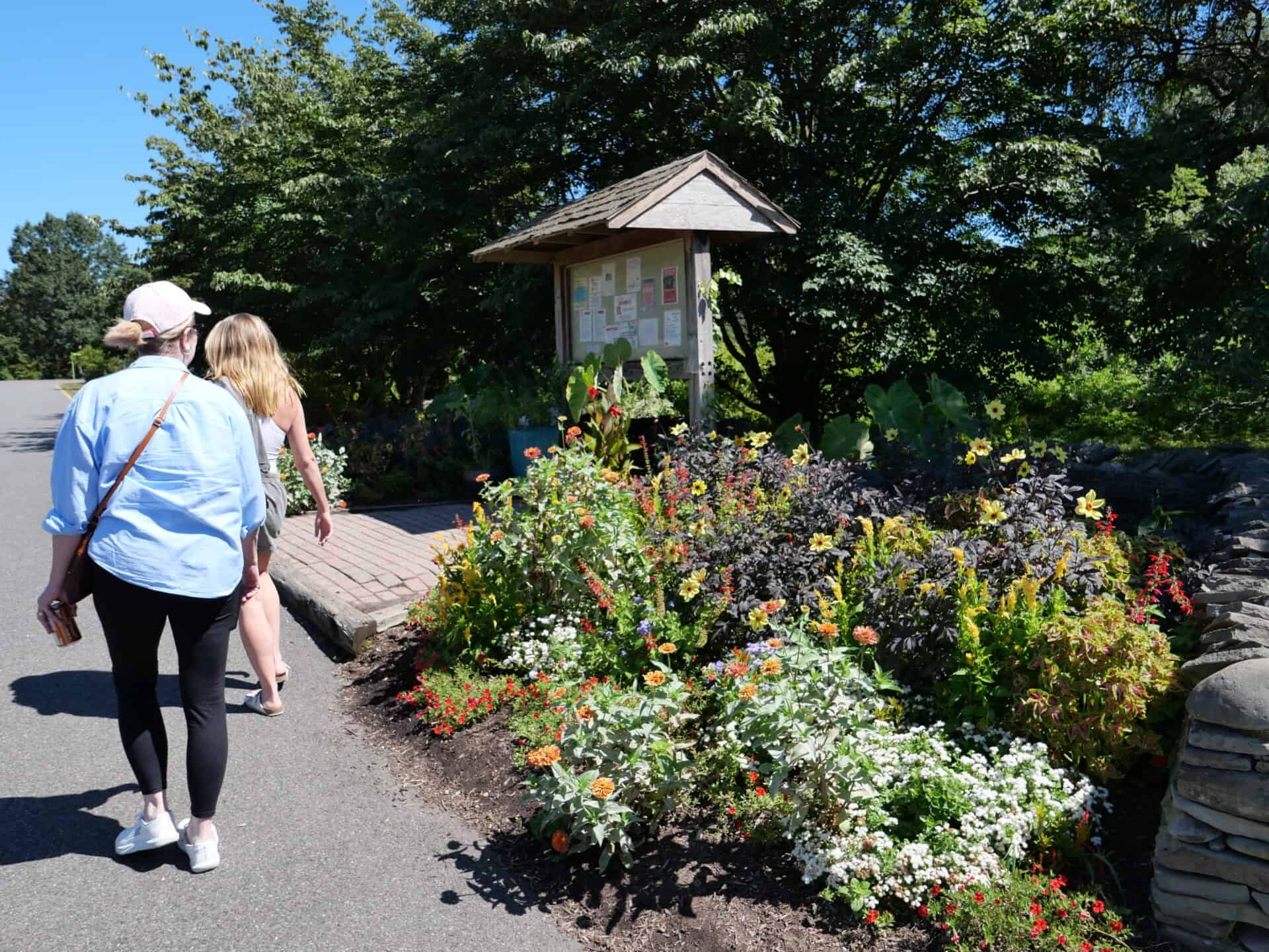 Easy strolling in the summertime