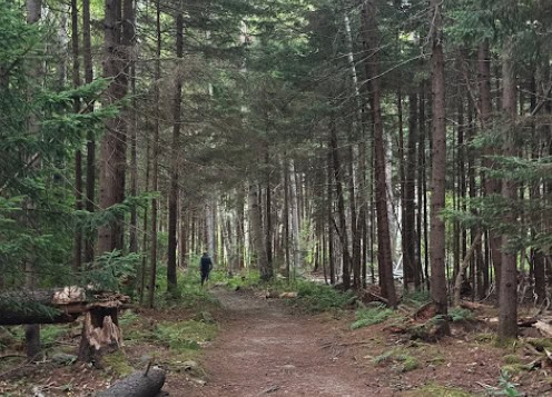 Photo: Mylisa Vowles