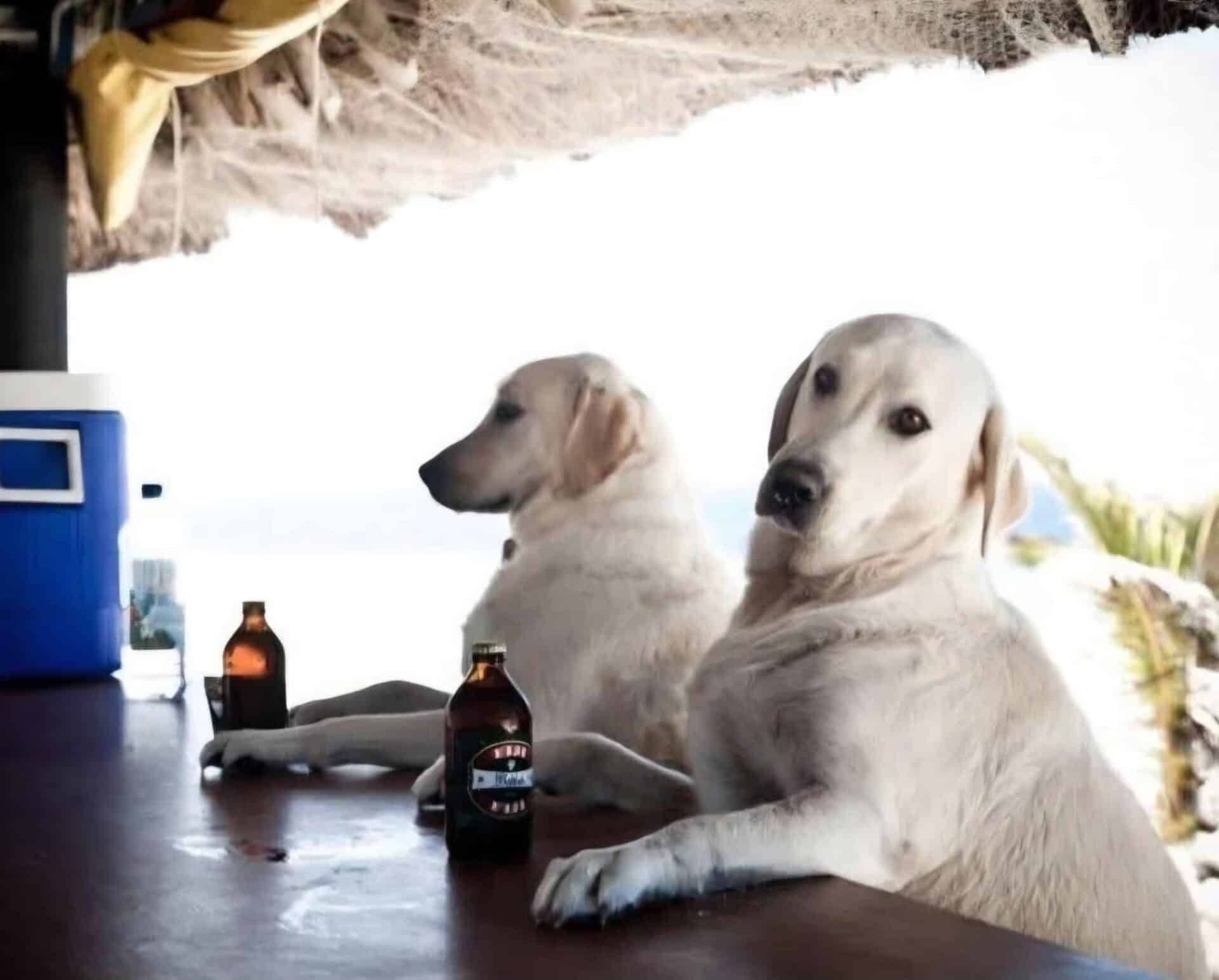 February 2026 Caption Contest