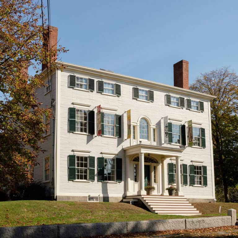 Ipswich Museum: Journey Through 160 Years of Local Culture and Curiosities