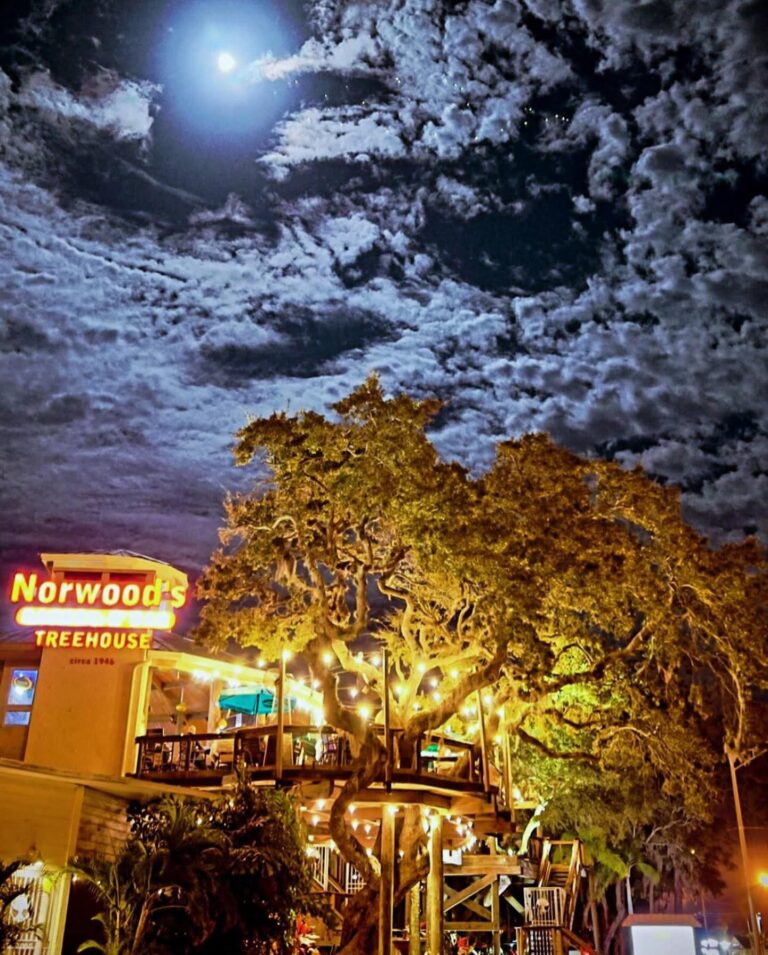 Sip Drinks Among Majestic Oaks: Discover the 1946 Treehouse Bar