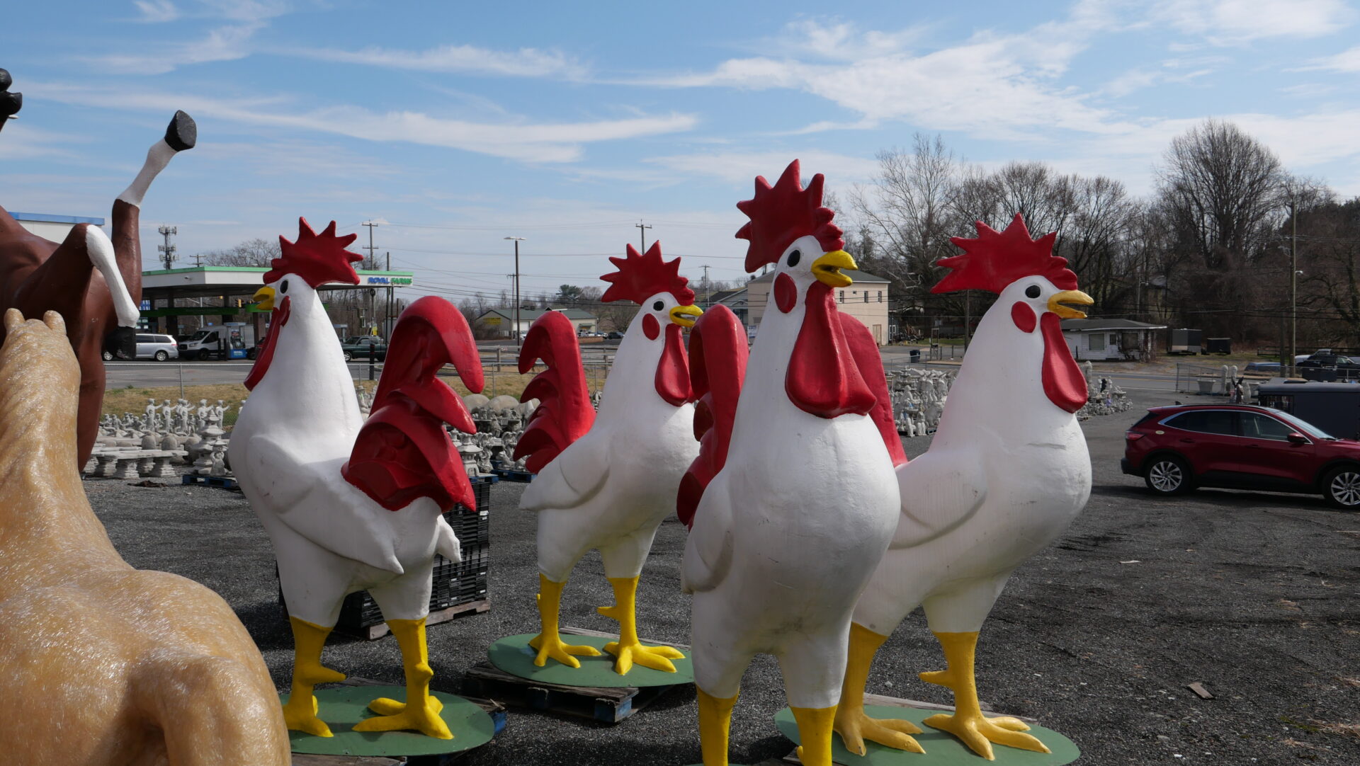 Attention Grabbers!!!