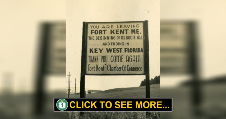 How the Path That Became Route 1 Shaped New York