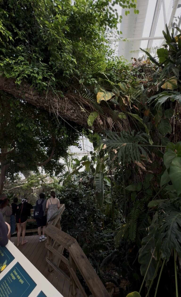 Dive into Adventure: Explore the National Aquarium in Baltimore!