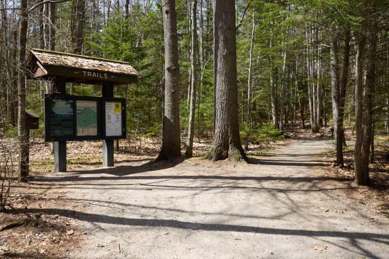 Preserving Maine’s Coast: The Story of Wolfe’s Neck Woods State Park
