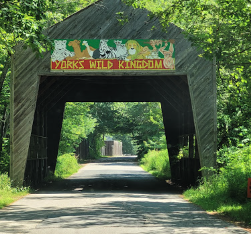 Experience Nostalgia at York’s Wild Kingdom in Maine