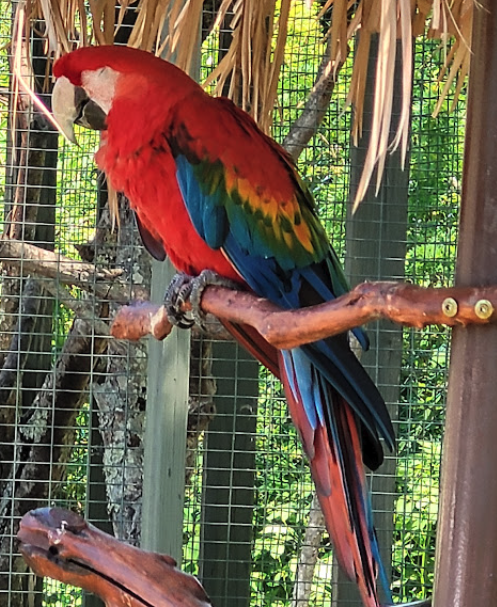 Photo: William Hafford