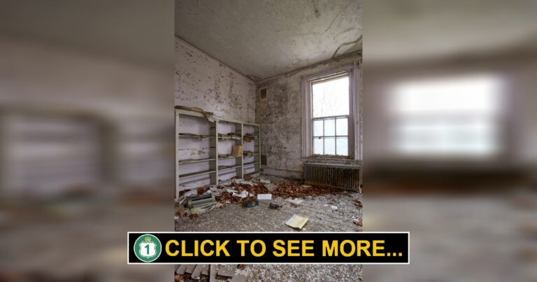 The Dark History of the Fernald State School in Waltham