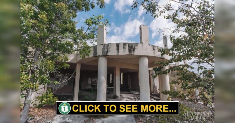The Demise of Port Bougainville Key Largo