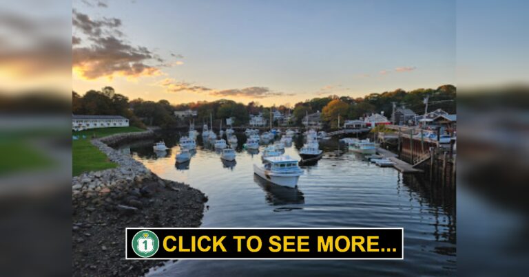 Why Perkins Cove Is the Perfect Stop on Your Maine Coast Trip