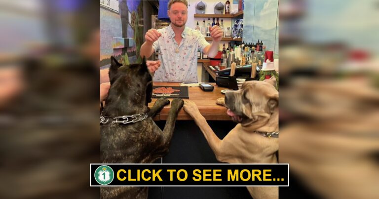 Bucket List: Experience the 72-Square-Foot Smallest Bar in Key West