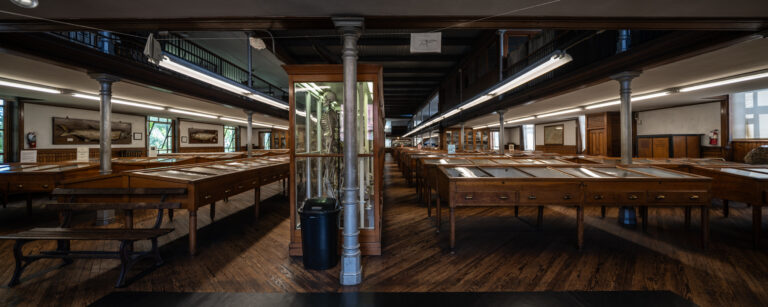 Philadelphia’s Hidden Gem: The Wagner Free Institute of Science