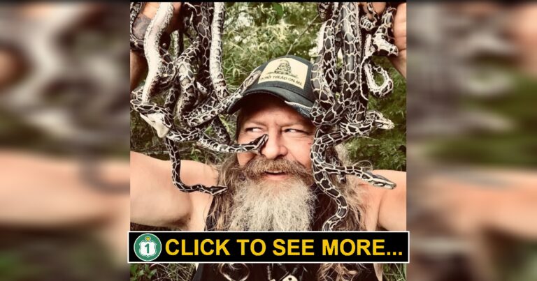 Florida Python Challenge: 10 Days to Hunt Invasive Snakes for Cash