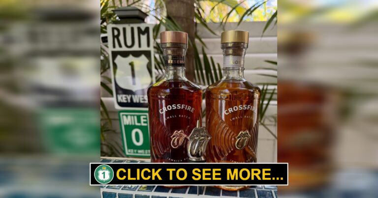 Rum-Tastic Party at the Key West Rum Festival