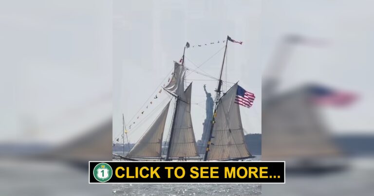The Voyage to America's BIRTHDAY SAIL 4TH 250