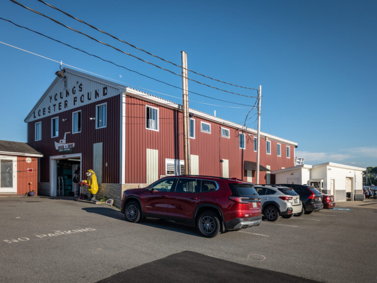 Dining Waterfront at Belfast's Iconic Young's Lobster Pound
