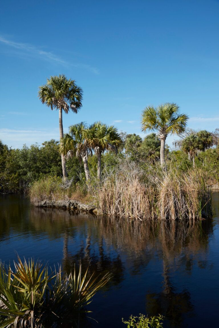 Discover Nine Historic UNESCO Landmarks on Your Route 1 Road Trip