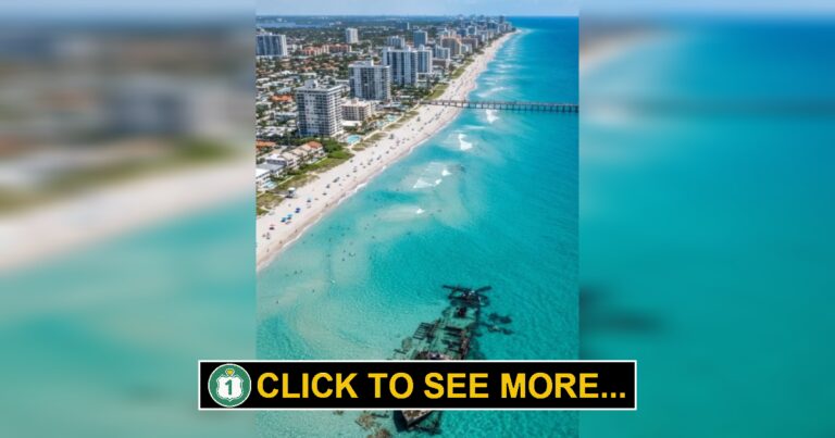 Explore a Shallow Wreck Dive Off the Coast of Pompano Beach