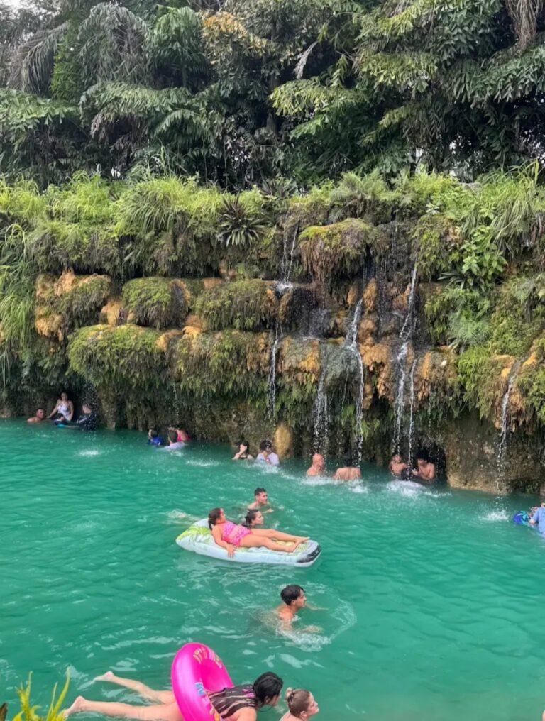 Tropical Paradise of Family Fun Blue Lagoon Farm Miami