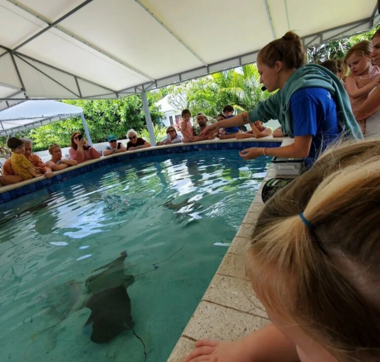 Family Fun in Delray Beach: Visit the Sandoway Discovery Center